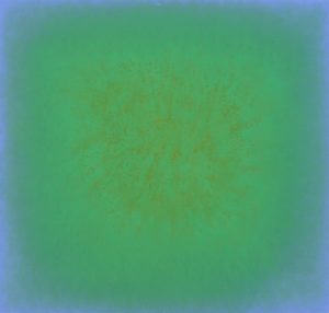 (P41) New Green 9 3
