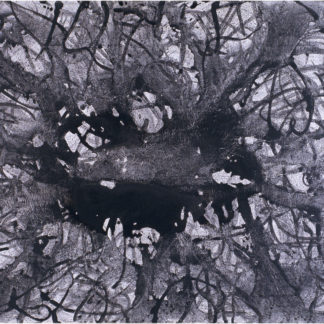 Bayou