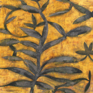 Genesis II