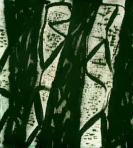 Birch 1