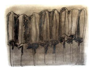 Popsicle Series: An Assembly of Popsicles