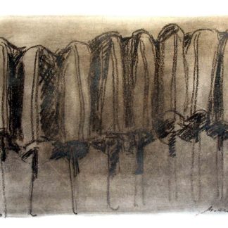Popsicle Series: An Assembly of Popsicles