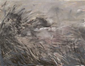 Landscape 13