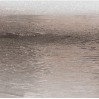 States of Matter 19