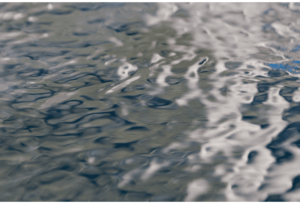 States of Matter 13