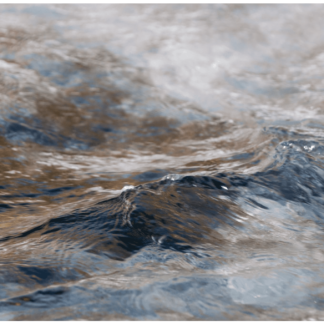States of Matter 12