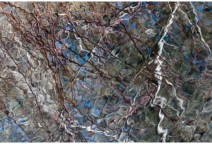 Spring Thaw 10