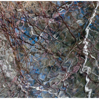 Spring Thaw 10