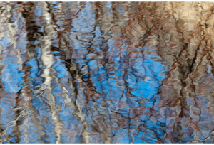 Spring Thaw 9