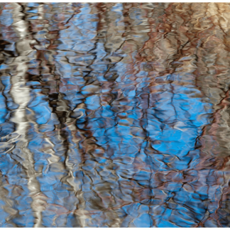 Spring Thaw 9