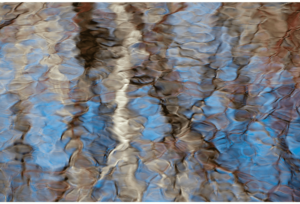 Spring Thaw 8