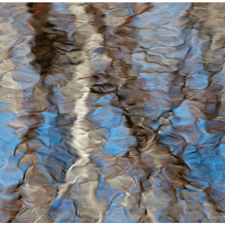 Spring Thaw 8