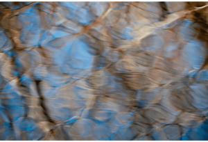 Spring Thaw 6