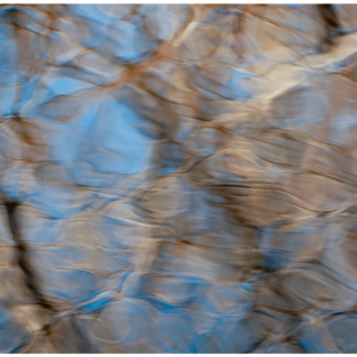 Spring Thaw 6