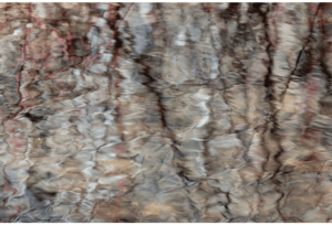 Spring Thaw 5