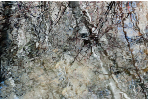 Spring Thaw 1
