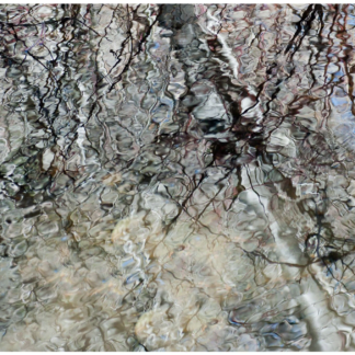 Spring Thaw 1