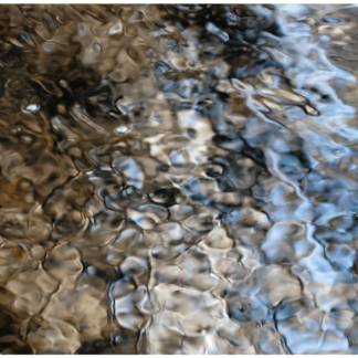 Reflections 10