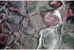 Reflections 7