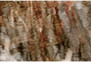 Reflections 8