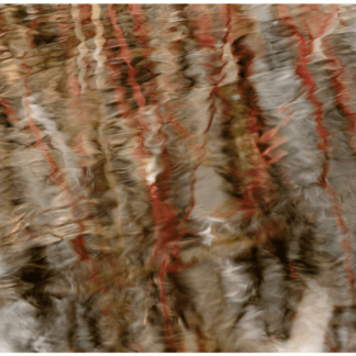 Reflections 8