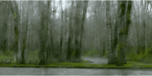 Raintrees