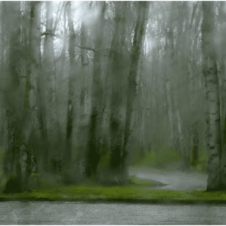 Raintrees