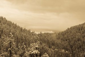 New Mexico Postcards 1