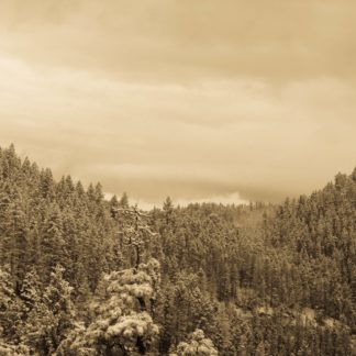 New Mexico Postcards 1