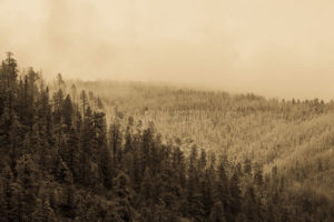New Mexico Postcards 2
