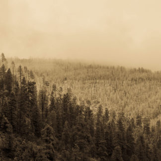 New Mexico Postcards 2