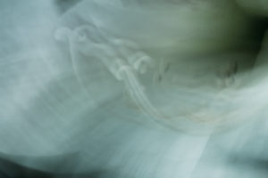 Morning Light 5