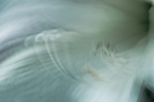 Morning Light 4