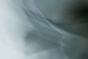 Morning Light 3