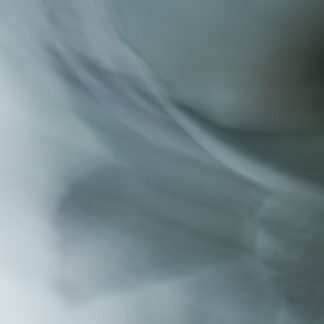 Morning Light 3