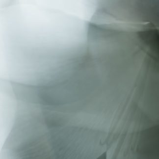 Morning Light 1
