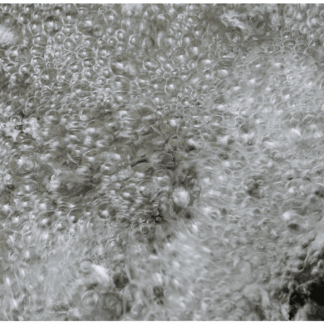 Kinetic Forces 4