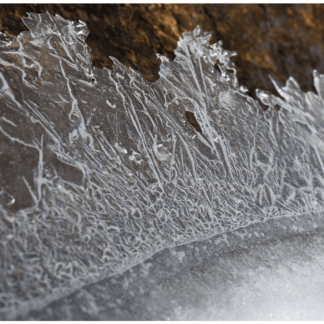 Frozen River 9