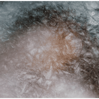 Frozen River 48