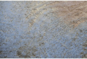 Frozen River 47