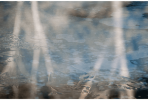 Frozen River 42