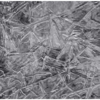 Frozen River 3