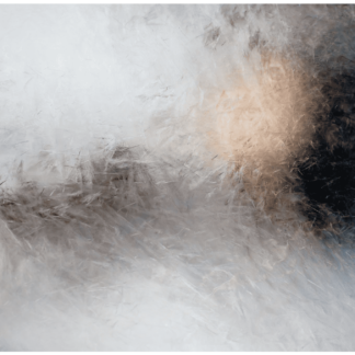 Frozen River 28