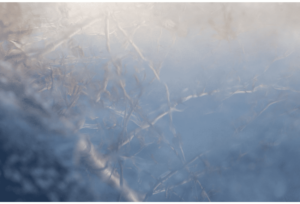Frozen River 22
