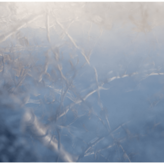 Frozen River 22