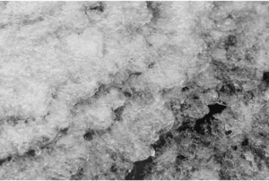 Frozen River 16