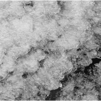 Frozen River 16