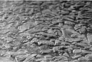 Frozen River 1