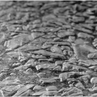 Frozen River 1
