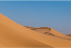 Dunes 7
